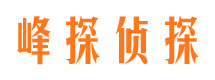 汉川市调查公司